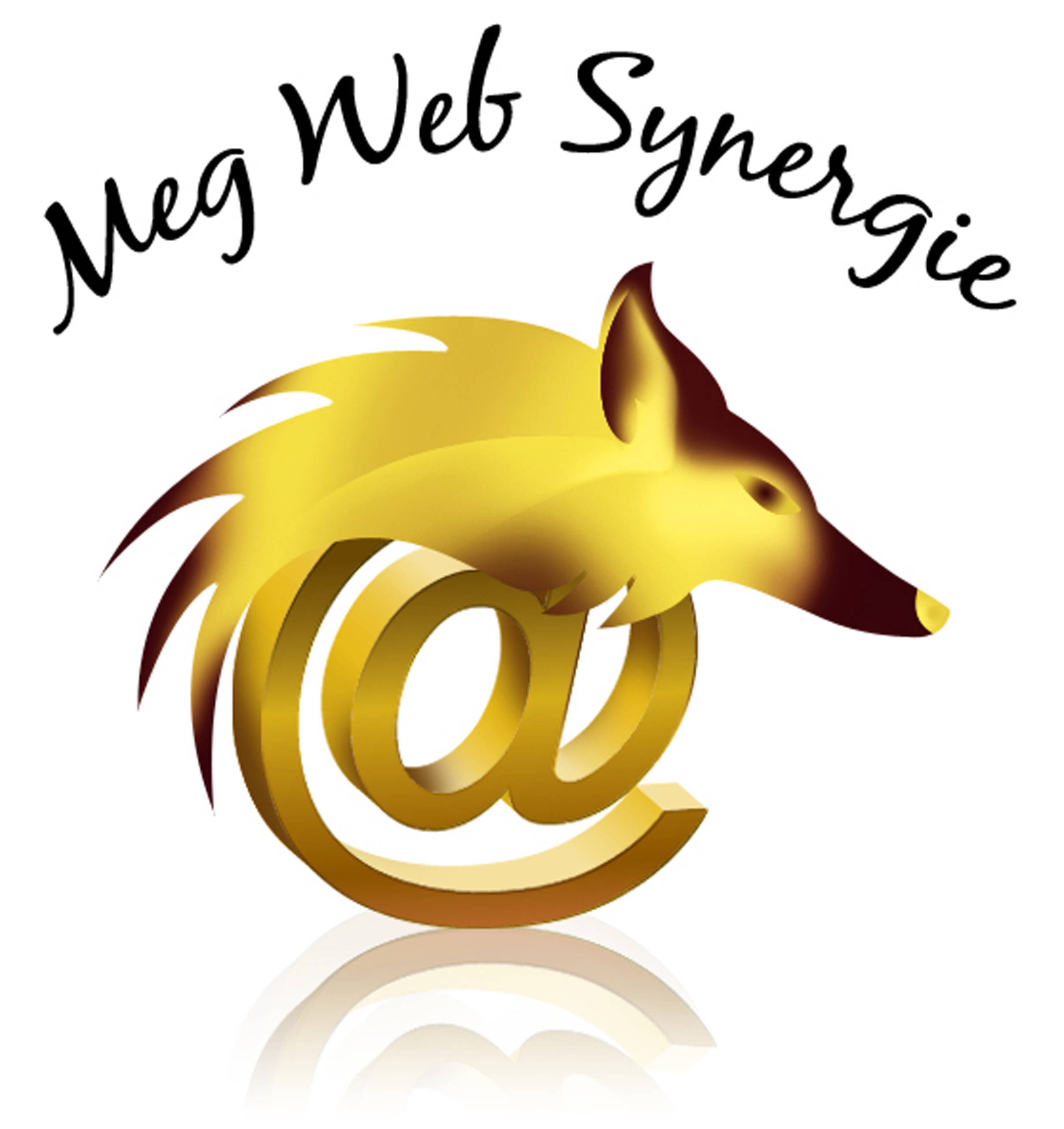 logo-MEGWEB